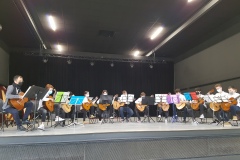 guitares-1