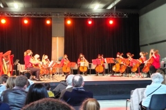 violoncelles