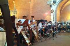 1_guitareHarpe6
