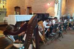 1_guitareHarpe8