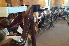 guitareHarpe10