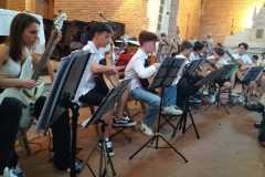 guitareHarpe3