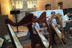 guitareHarpe4