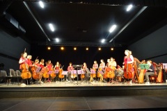 ensemble-cello-2